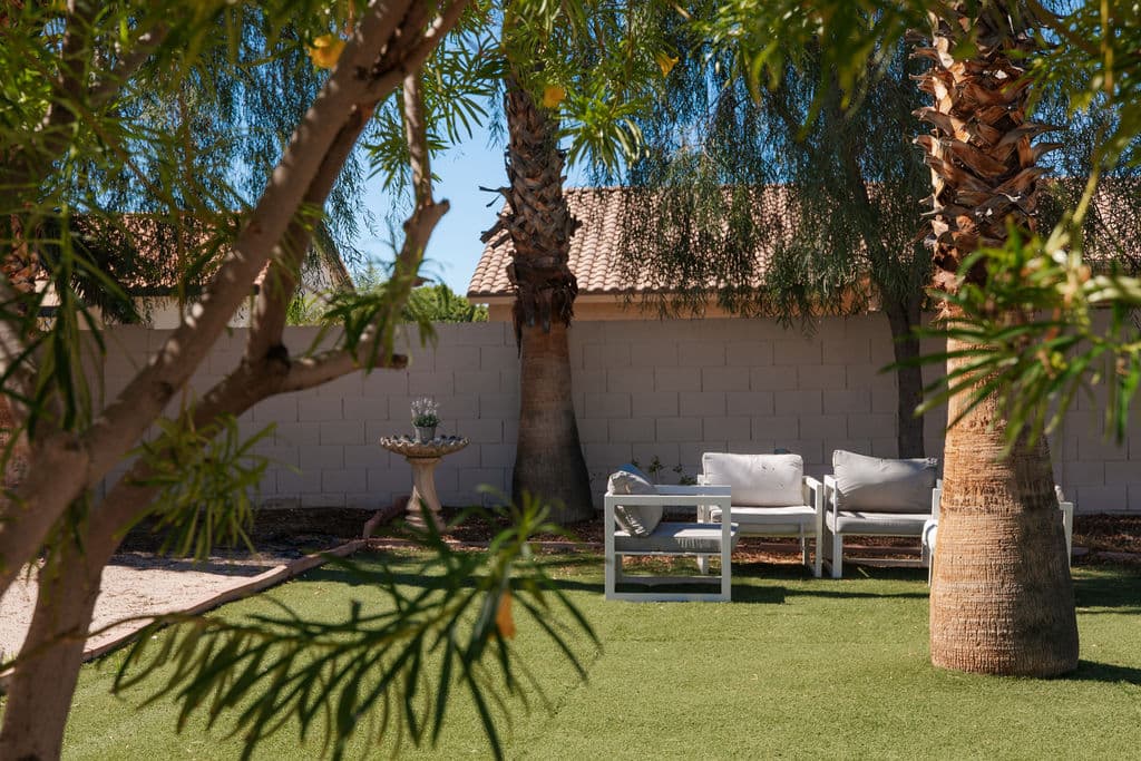 Garden seating under the shade of palms and a feathery tree, with cushioned chairs and a birdbath on the lawn.